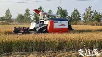 移動物聯(lián)網(wǎng)應(yīng)用①｜手機上種田，無人化種田！智慧農(nóng)場“智”在哪？